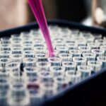 Scopri di più sull'articolo Huntington | Ricerca e sperimentazioni: un impegno costante